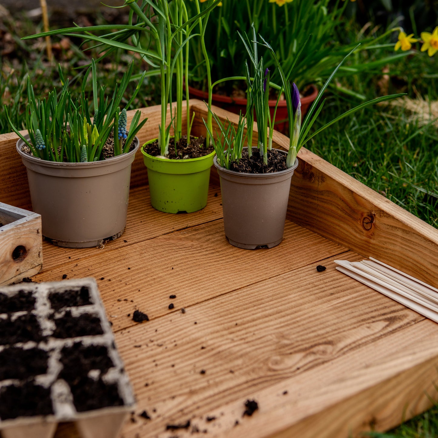 WOODEN POTTING TRAY