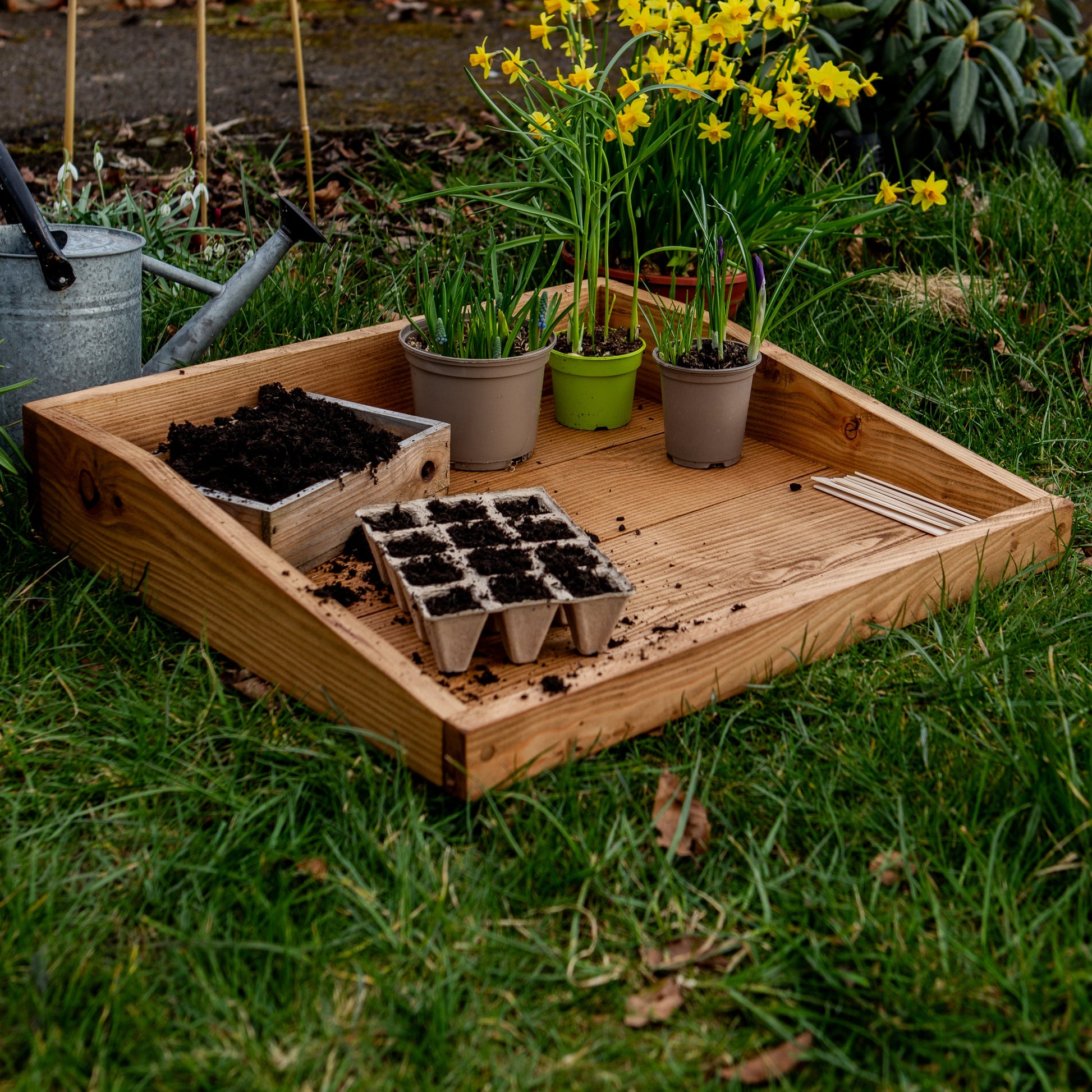 plant potting tray WOODEN POTTING TRAY – Timbit Wood Design